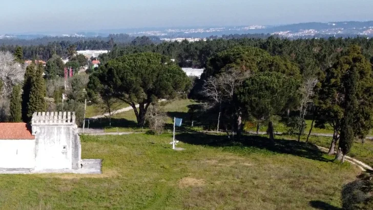 P13 Campos De S Jorge Ciba